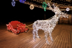 Merry Christmas !! (2)