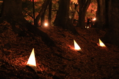 紅葉回廊の道案内っ❗