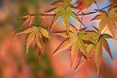 どうやって撮ったか分からない(笑)