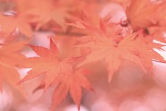 エアリーな雰囲気☺️