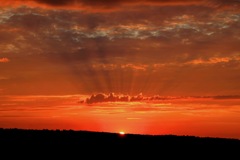 amazing sunset