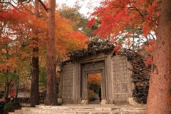 一竹美術館