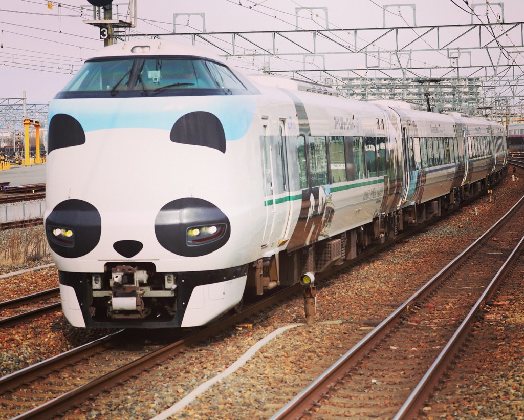 287系 特急「くろしお」号(パンダくろしお)
