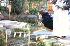 川越　氷川神社