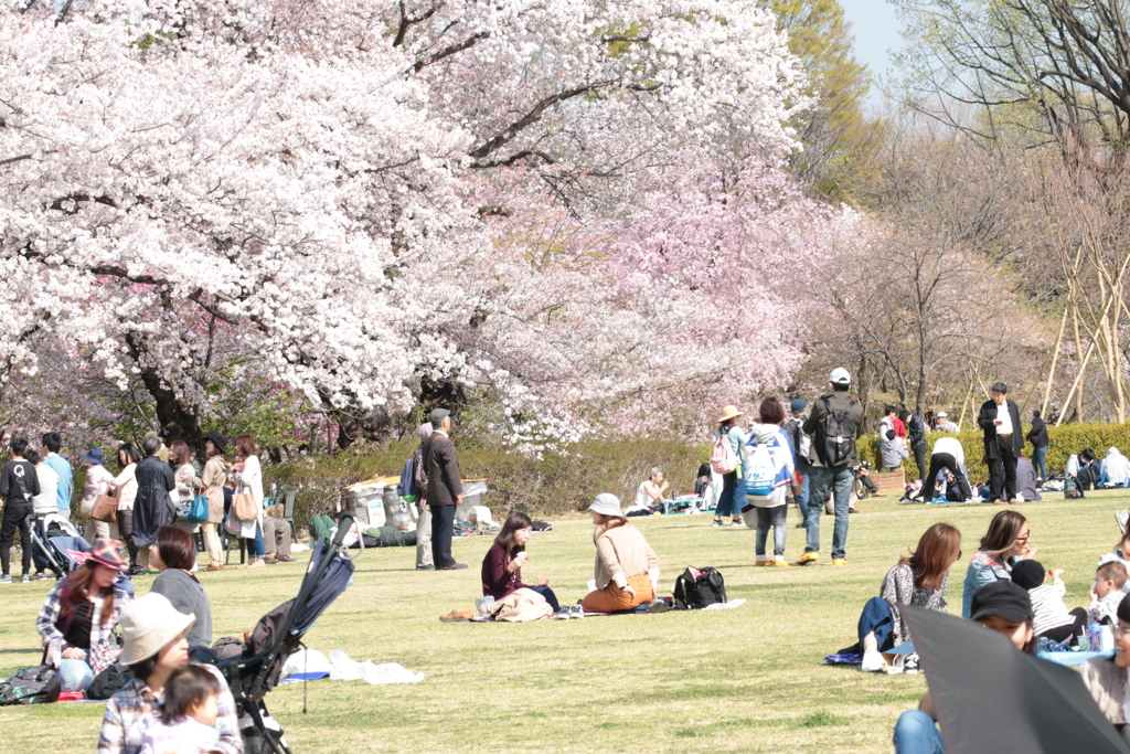 それぞれの休日