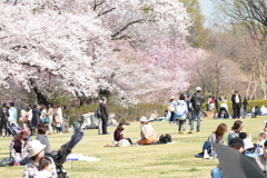 それぞれの休日