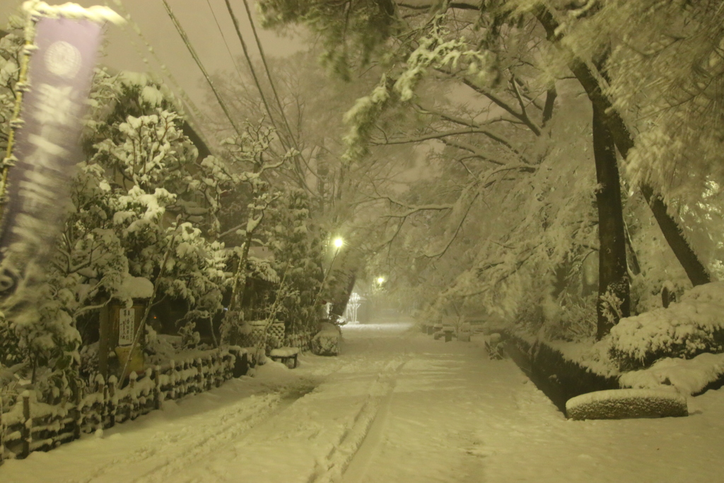雪の深大寺周辺