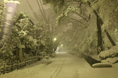 雪の深大寺周辺