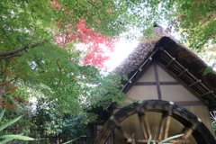 紅葉と水車小屋　Ⅰ