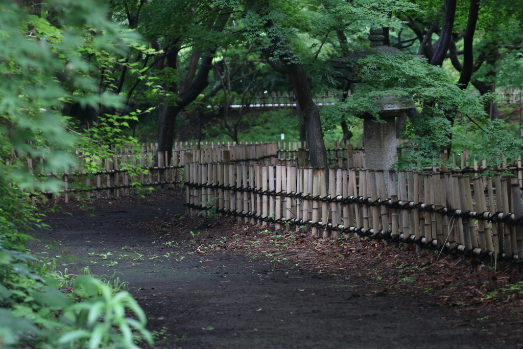 和の庭園