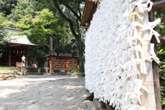 大宮　氷川神社　Ⅲ