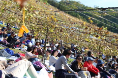 収穫祭　Ⅰ