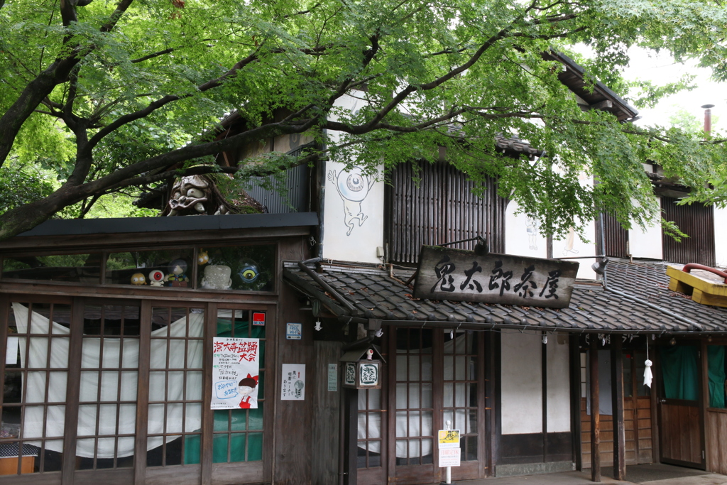 準備中　Ⅱ