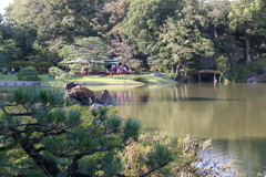 秋の庭園風景　Ⅱ
