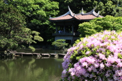 日本庭園　Ⅱ