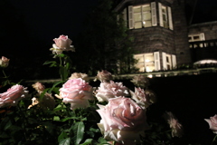 ライトアップⅢ