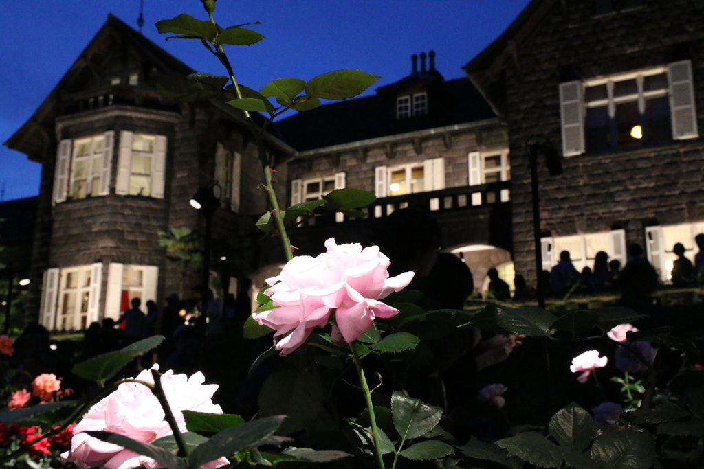 ライトアップⅠ