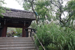 ススキと大門