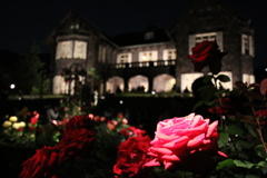 ライトアップ Ⅱ