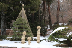 雪の神代植物公園
