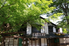 開店前Ⅰ(鬼太郎茶屋)