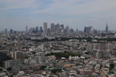 新都心