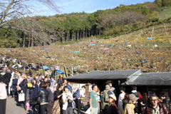収穫祭　Ⅲ
