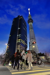 UNDER THE SKY TREE