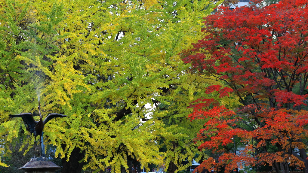 日比谷公園の紅葉