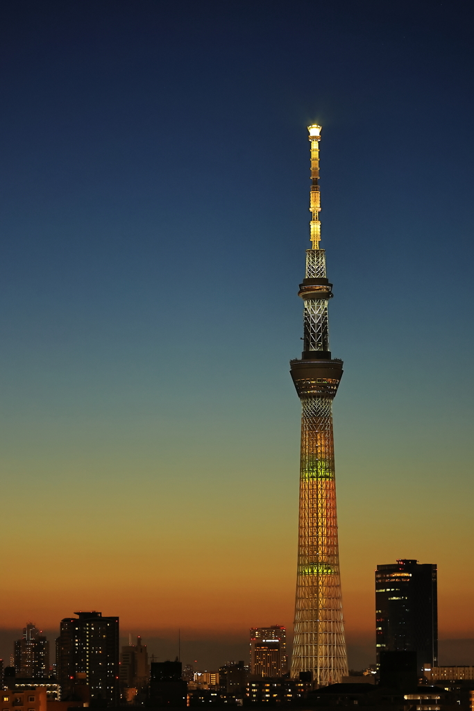 グラデーションツリー