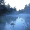 雲場池の朝１