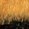 街花火2019Ｃ