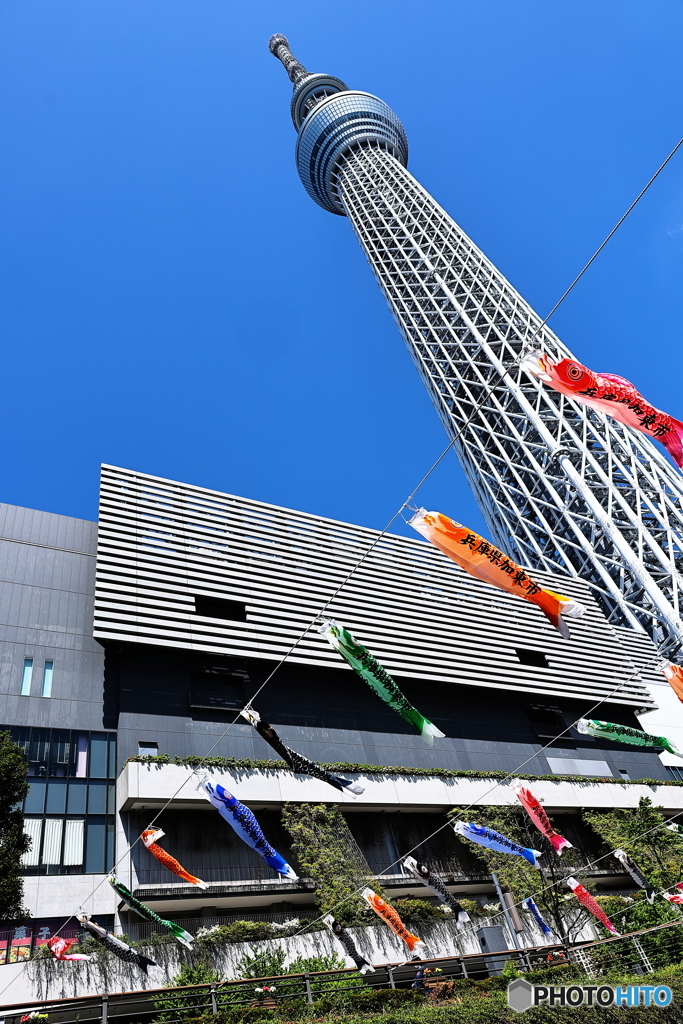 空へ