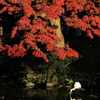 日比谷公園の紅葉２