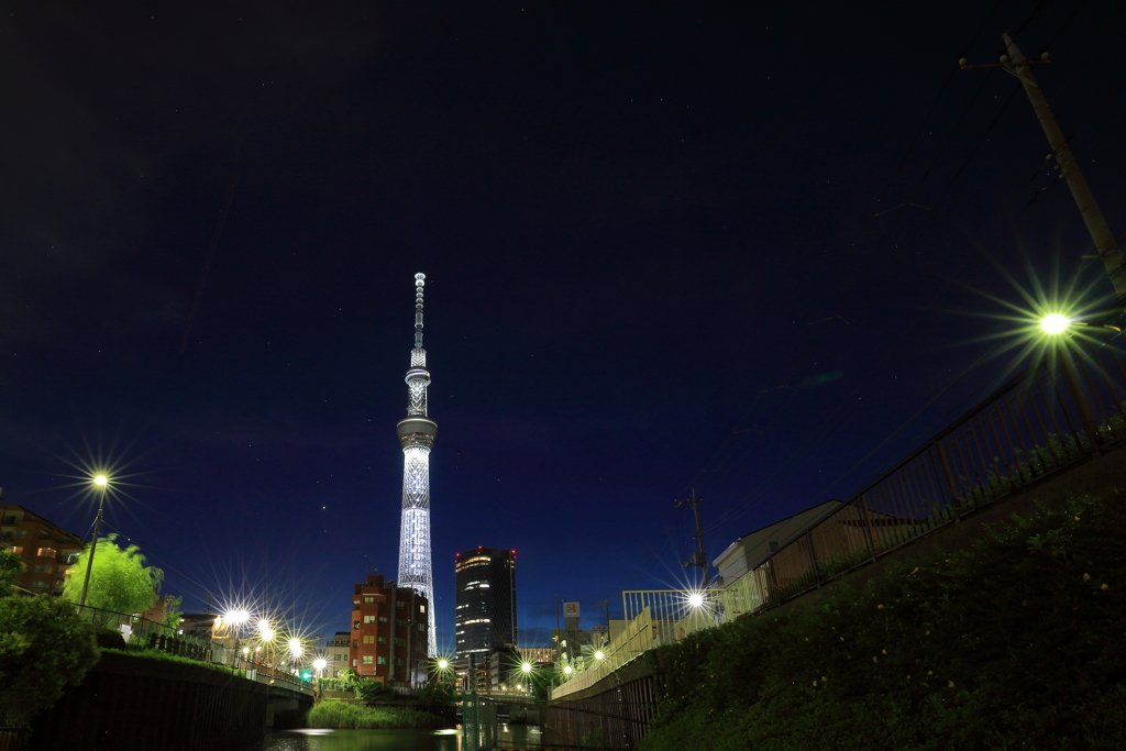 夜のスカイツリー