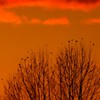 夕暮れ時