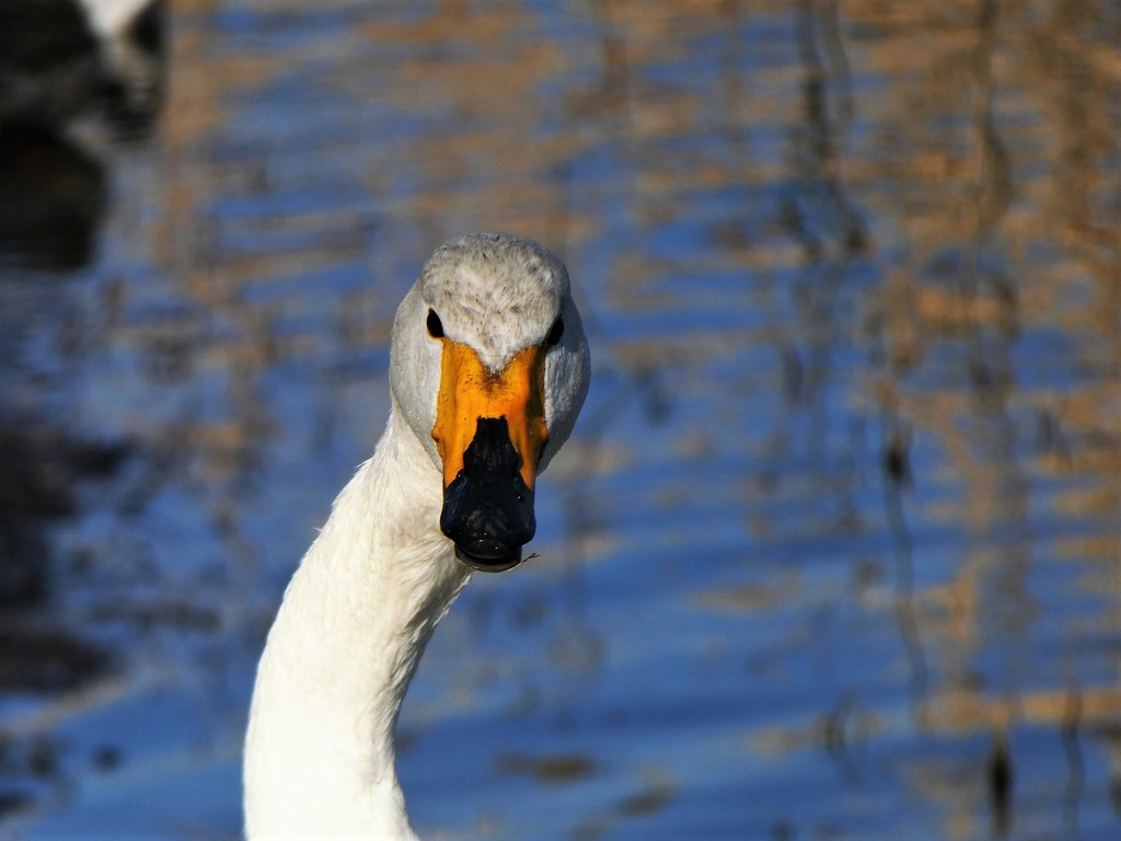 ん？