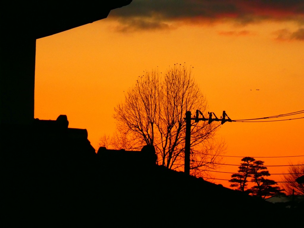 夕暮れ