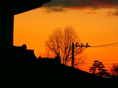 夕暮れ