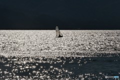 shining