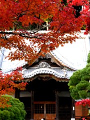 修善寺　秋