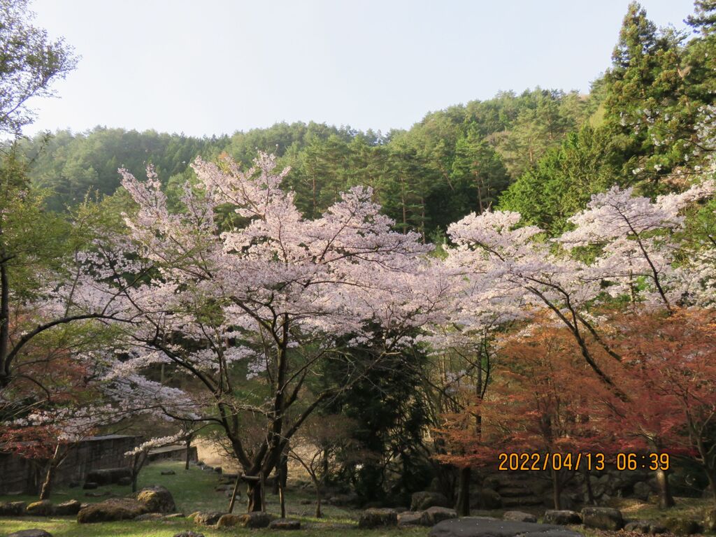 三ツ峠山登山口