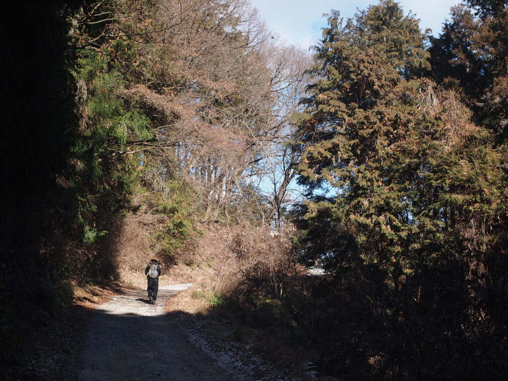 登山者と登山道