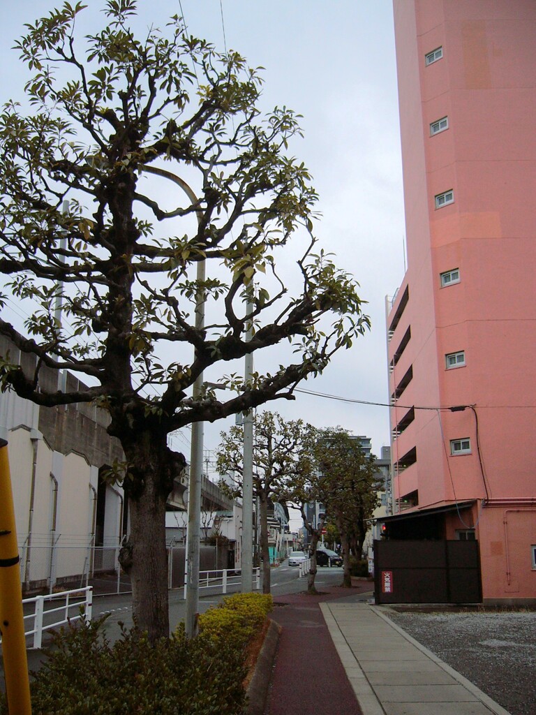 冬空