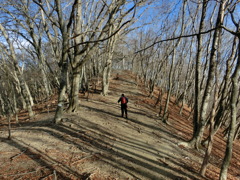 登山者は絶景を目指す。