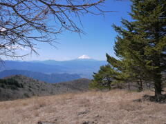 扇平からの富士山