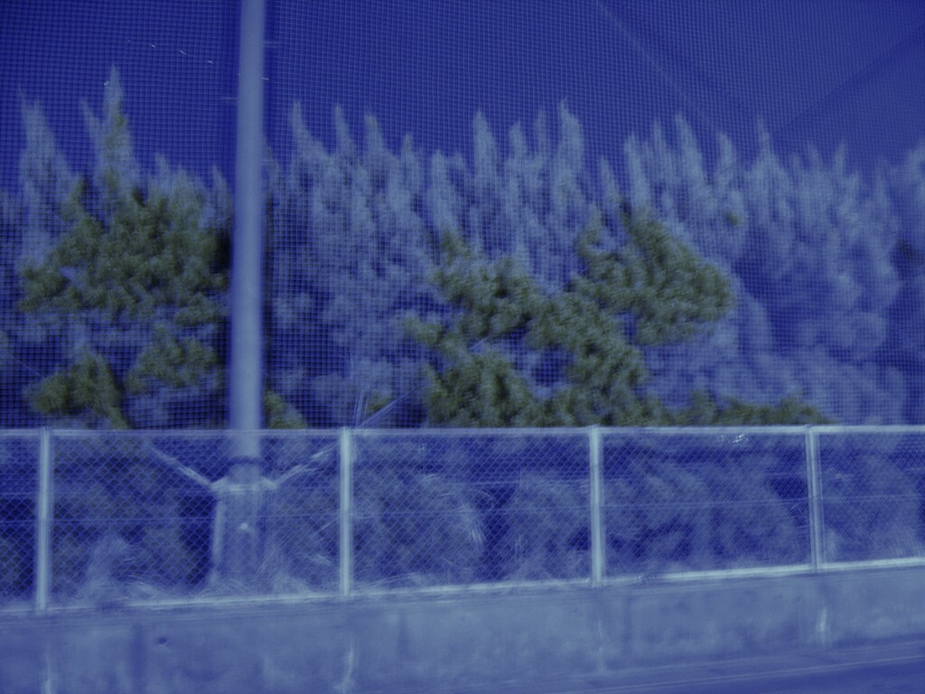 もじゃもじゃ