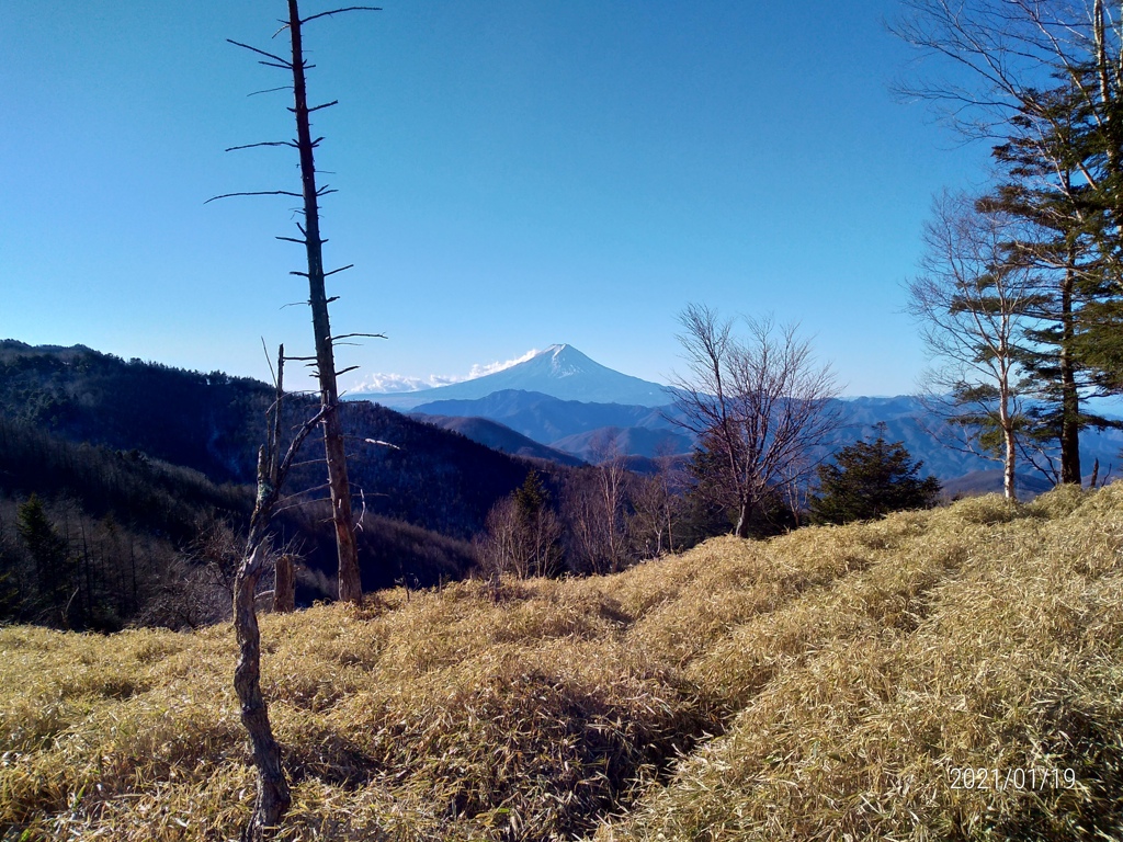 牛奥の雁ガ腹摺山登山道にて②