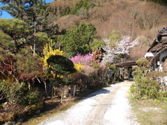 集落の民家