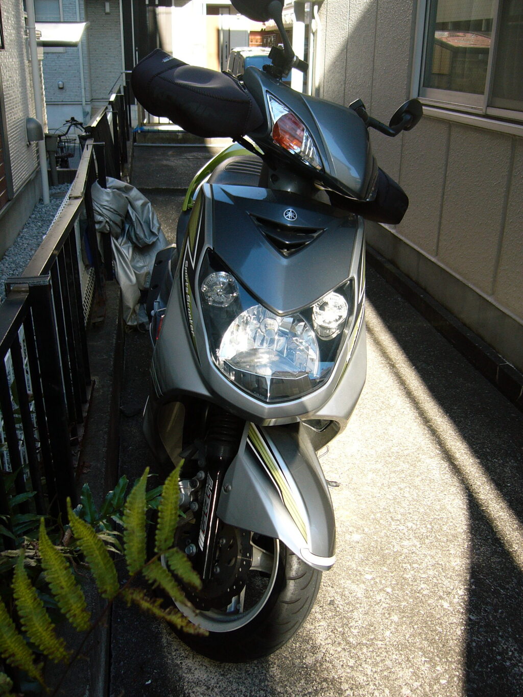 ヤマハ　シグナス②